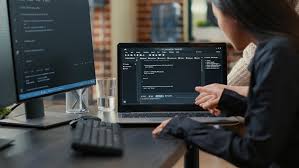 Asp.net Programmer